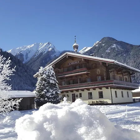 Дом отдыха Schiedhof Нойкирхен-ам-Гросфенедигер